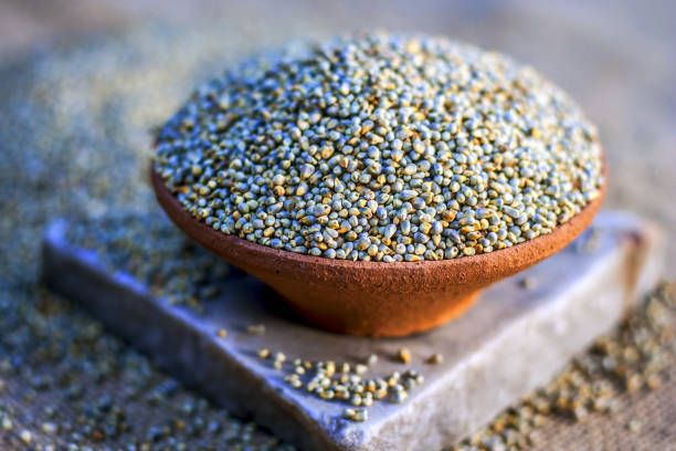 Pearl Millet