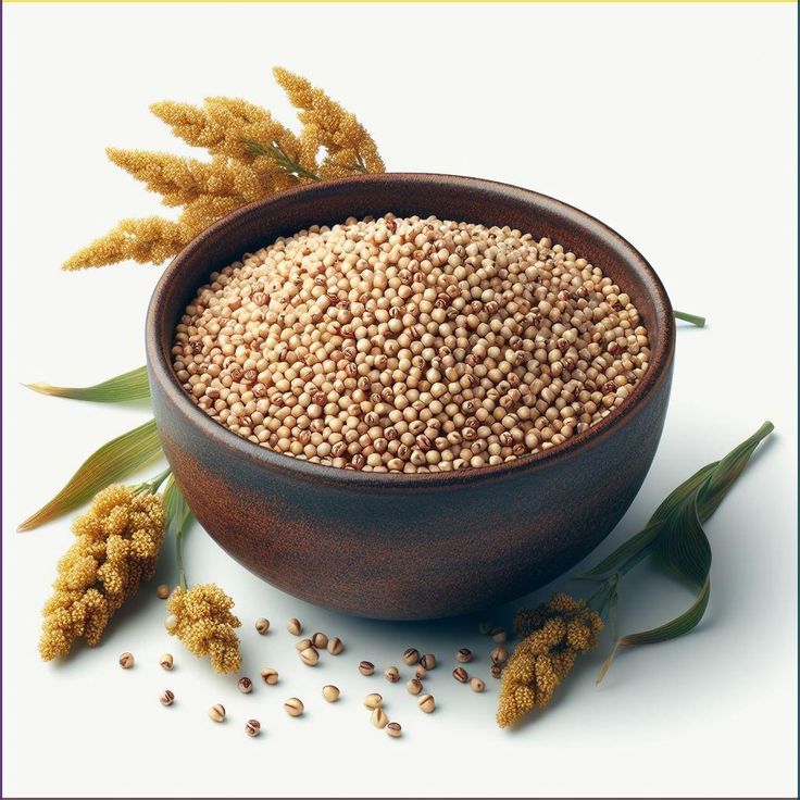 Sorghum